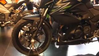 Kawasaki Z250 Superbike Motorshow 2014