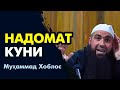 Надомат куни - Муҳаммад Хоблос | Йиғлаб тинглайсиз