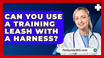 Can You Use A Training Leash With A Harness? - PetGuide360.com