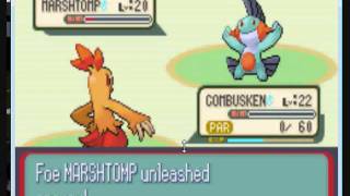 Pokemon Ruby-walkthrough-Part 8