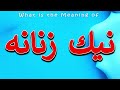 What Is The Meaning Of معنی نیك زنانه نیك زنانه چیست نیك زنانه 