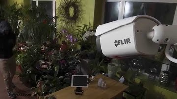 Cámaras térmicas bullet FLIR TCX