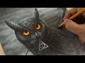 Drawing Owl from Hogwart Harry Potter Art
