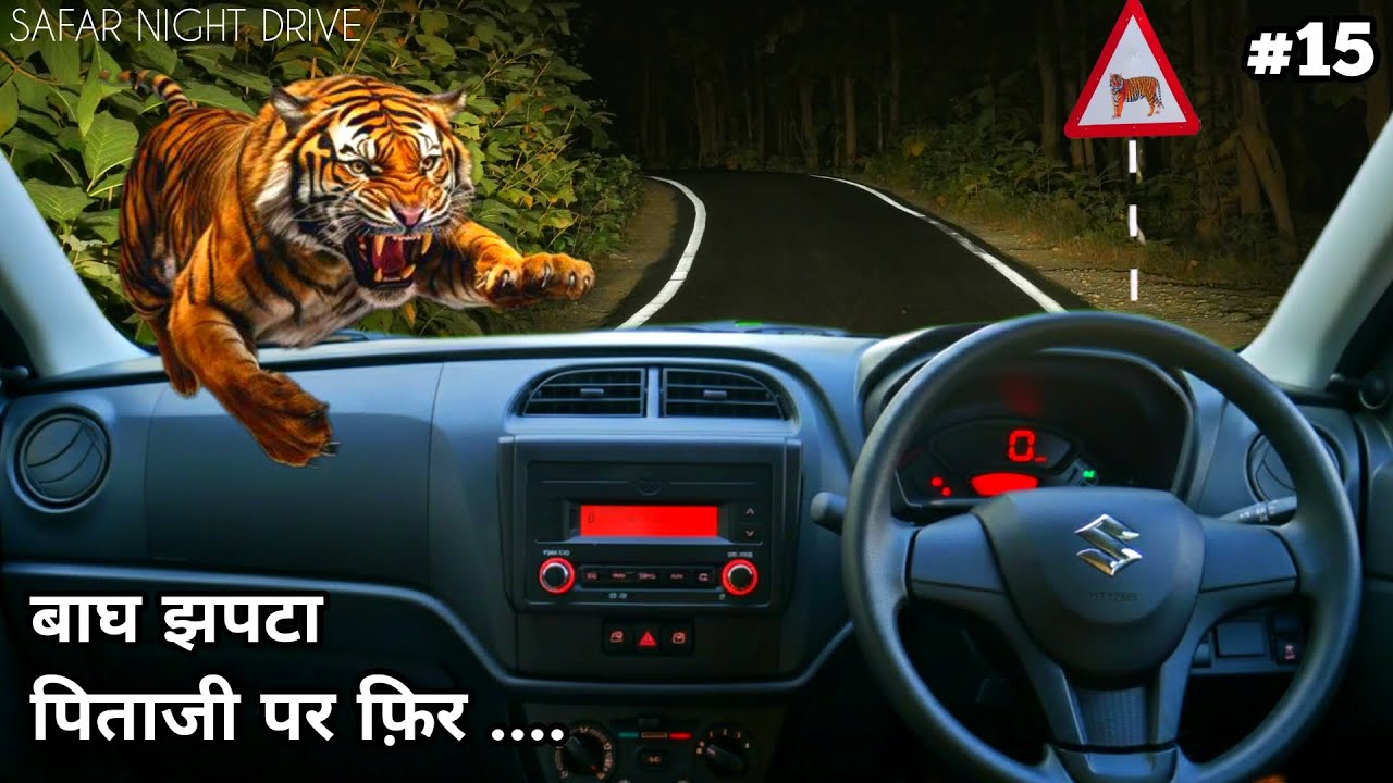 Safar Night drive | My First Encounter With Tiger At Night Drive | 4k video in hindi