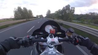 Pecoroni on the road - Wheelie day!!