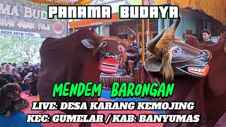 Download Lagu Kuda Kepang Ebeg Panama Budaya | Mendem Barongan | Ebeg Banyumasan MP3