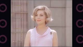 Barbara Bain, More Than A Pretty Face - Celebrity Nostalgia