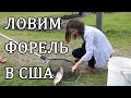 Рыбалка в США. Ловим форель в Северной Каролине.