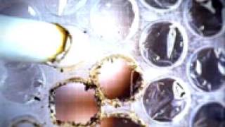 Bubblewrap - Lung disease [television commercial]