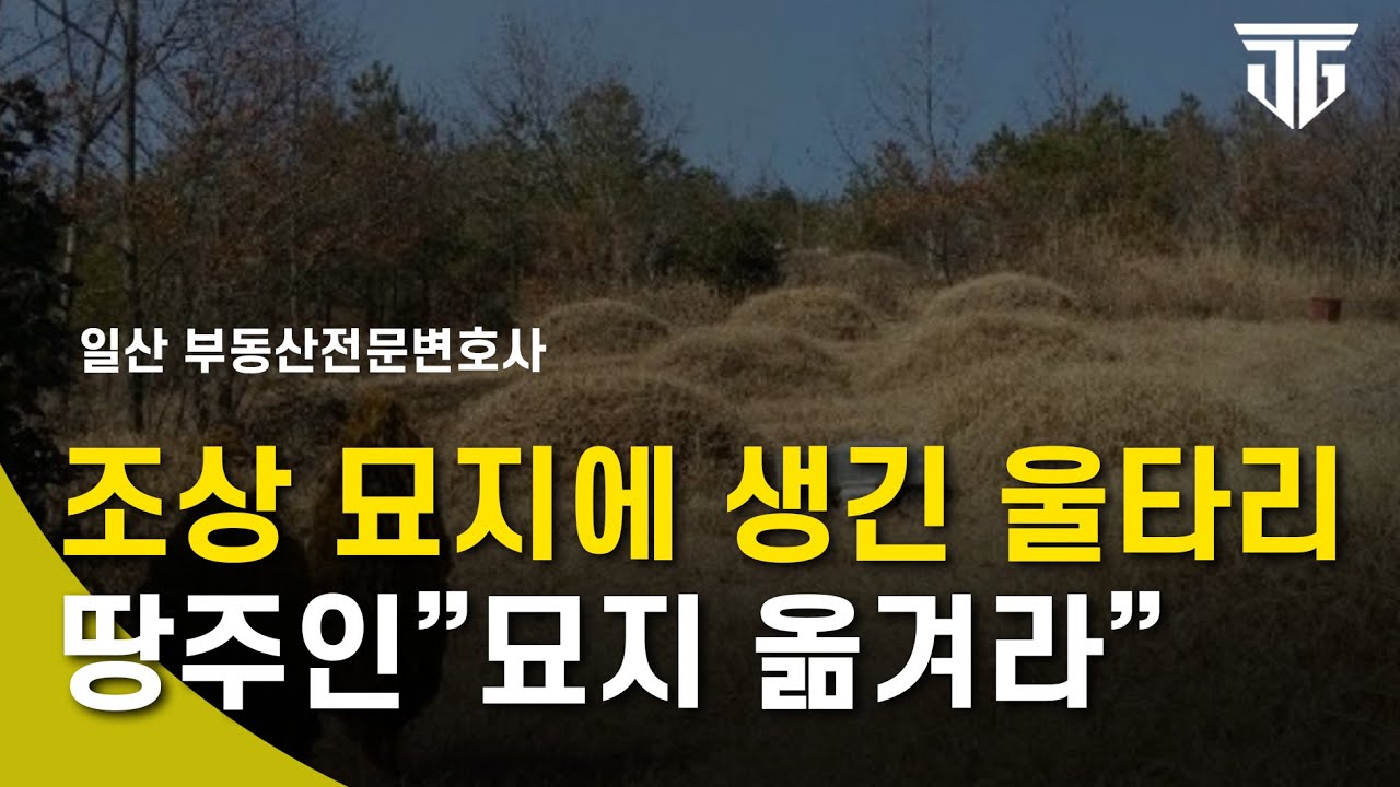 헉! 조상님 묘지에 울타리가? 성묘 어떡할까 #분묘기지권 #묘지이장 #부동산전문변호사