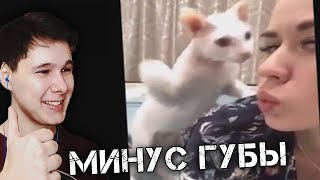 ЗАСМЕЯЛСЯ ПРОИГРАЛ Тест на психику ЧЕЛЛЕНДЖ САМОЕ СМЕШНОЕ ВИДЕО В МИРЕ ЗАСМЕЯЛСЯ ПРОИГРАЛ Тест на психику ЧЕЛЛЕНДЖ САМОЕ СМЕШНОЕ ВИДЕО В МИРЕ