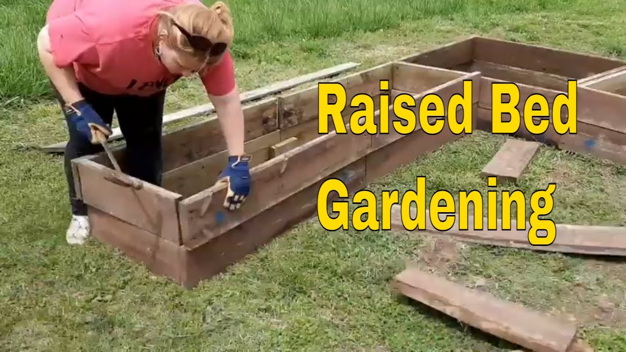 How to lay out a vegetable garden plan | Raised bed gardening
