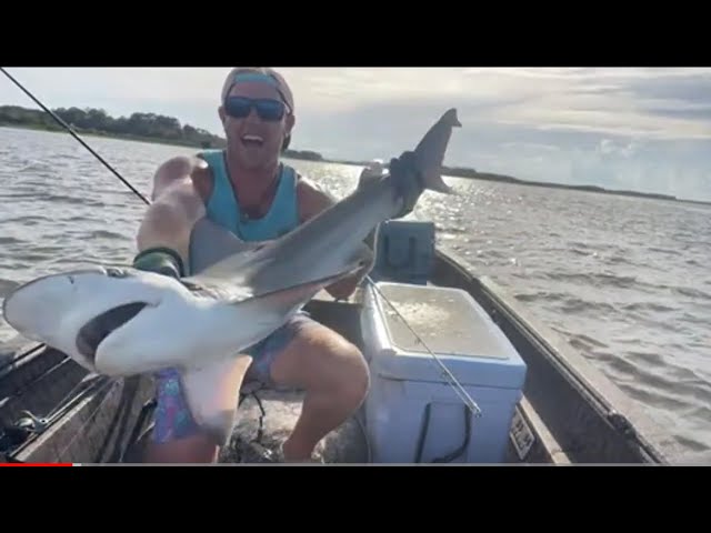 LIVE💥 Shark Fishing in my Jon Boat! 