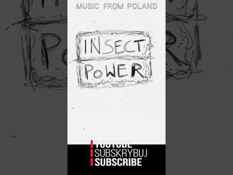 The Insect Power Behind Poland's Alternative Rock Explosion
