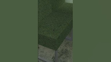 Can you spot MICROSCOPIC MAXWELL CAT? He