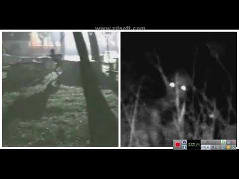 ვის არის სინამდვილეში რეიკი