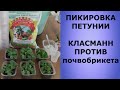 ПИКИРОВКА ПЕТУНИИ. КЛАСМАНН ПРОТИВ ПОЧВОБРИКЕТА, КОНЕЦ ЭКСПЕРИМЕНТА.