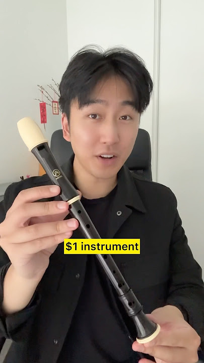 $1 VS $500 SpongeBob… #aylex #percussion #instrument #recorder #clarinet #flute #melodica #dyson