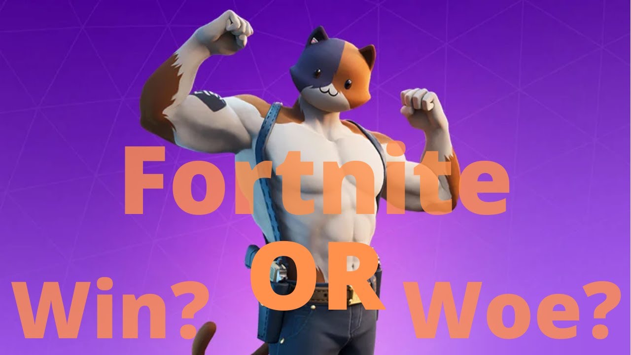 Fortnite: Taking the most Purrrrrrrfect "W"