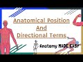 Anatomical Position and Directional Terms Quiz