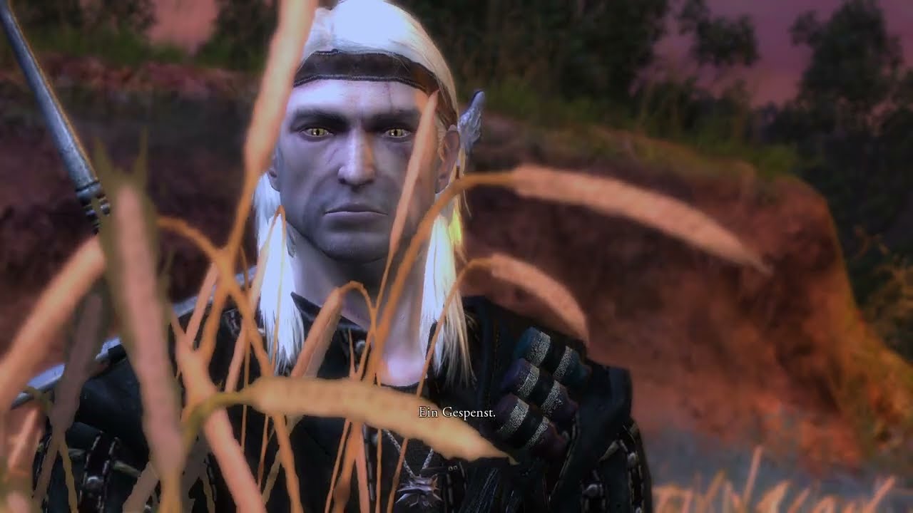 Zurück nach Wyzima - The Witcher 1 