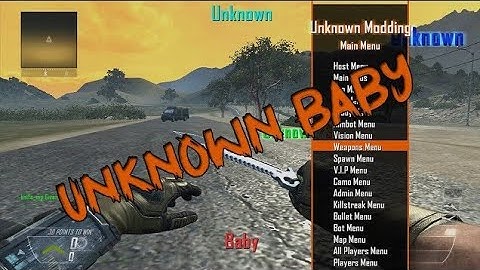 Bo2 Mod Menu :Unknown Modding V1: + Download, Created By Me :UnknownBaby: