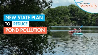 Reducing stormwater runoff in Mashapaug Pond | Green Seeker