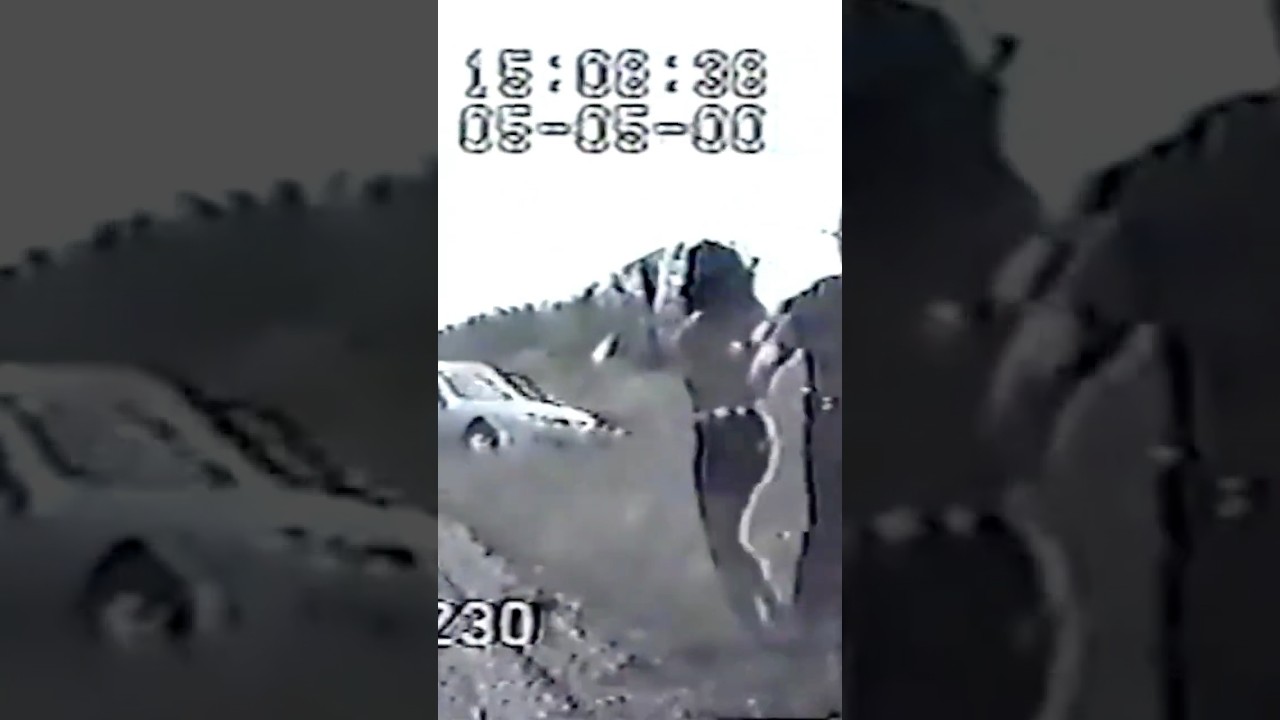 Officer Saves Woman From a Crash