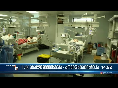 ქრონიკა 14:00 საათზე - 6 მარტი, 2022 წელი