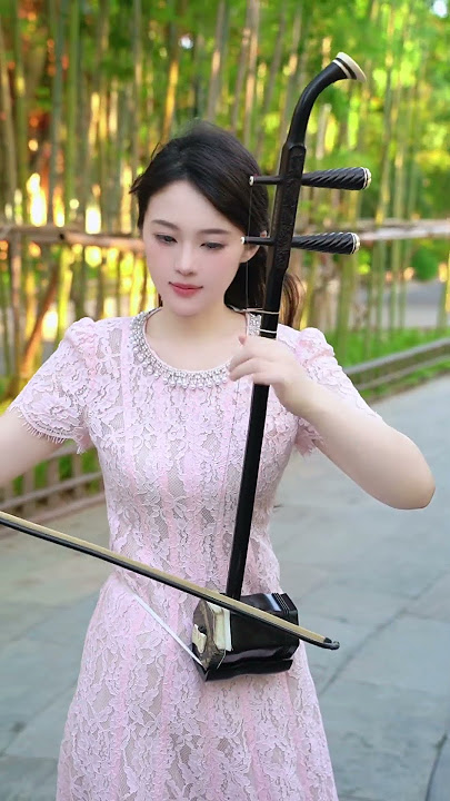 迟来的爱 - Zhi lai de ai #二胡 #chinesemusic #musicmandarin #viralpost #fyp #instrumental #erhu