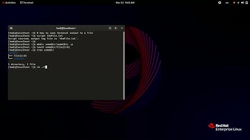Save Terminal to a Text File - Linux