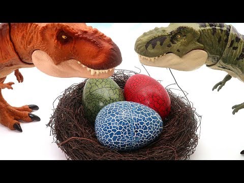 Dinosaur Eggs Is Hatching! 3D Puzzle Dinosaur For Kids 공룡 알 퍼즐 부화 티라노사우루스