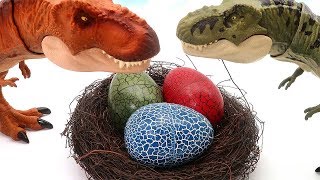 Dinosaur Eggs Is Hatching! 3D Puzzle Dinosaur For Kids 공룡 알 퍼즐 부화 티라노사우루스