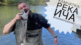 Камчатка! Река Ича. Неделя рыбалки и кайфа | Павликрыбачит