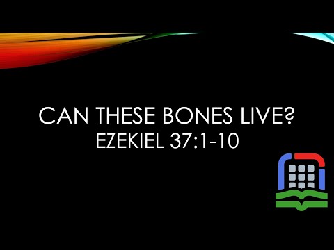 36. Can These Bones Live? (Ezekiel 37:1-10)