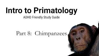 Chimpanzees, Male Alliances, and Primate Politics | Intro to Primatology Part 8