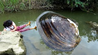 Download Lagu The water surface is unusual. It turns out that there are big river clams hidden in the water MP3 Download Lagu The water surface is unusual. It turns out that there are big river clams hidden in the water MP3