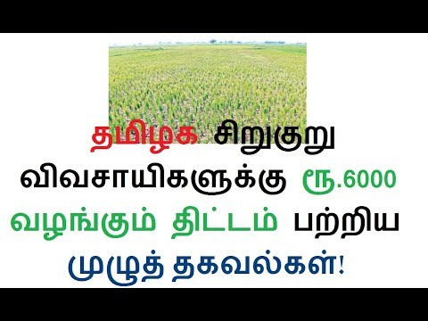 தமிழக சிறுகுறு விவசாயிகளுக்கு ரூ.6000 வழங்கும் திட்டம் பற்றிய முழுத் தகவல்கள்!