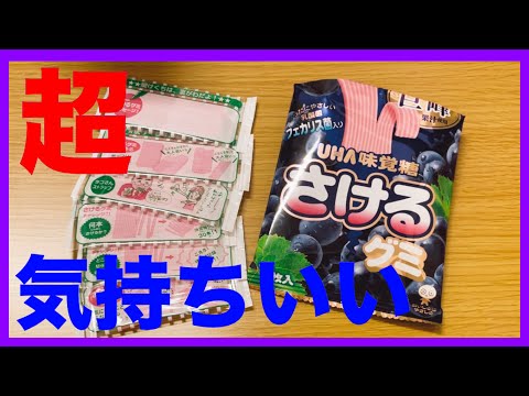 気持ちいい！さけるグミ徹底レビュー