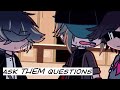 Ask them questions  assassin sbi au