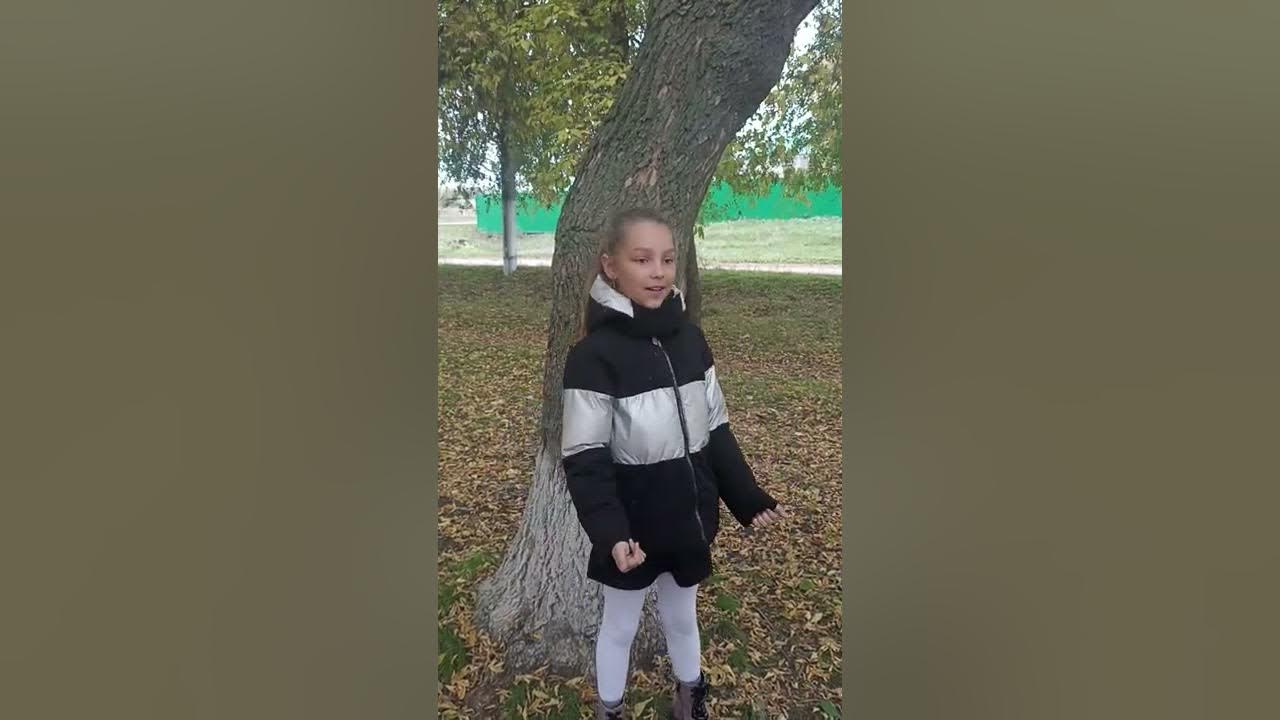 Балонский в лесу. Река убин. Стих в осеннем лесу. Балонский в лесу. Осень в лесу стих.