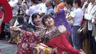 4K30p【百物語】籠女_東京よさこい【2017年】Z150