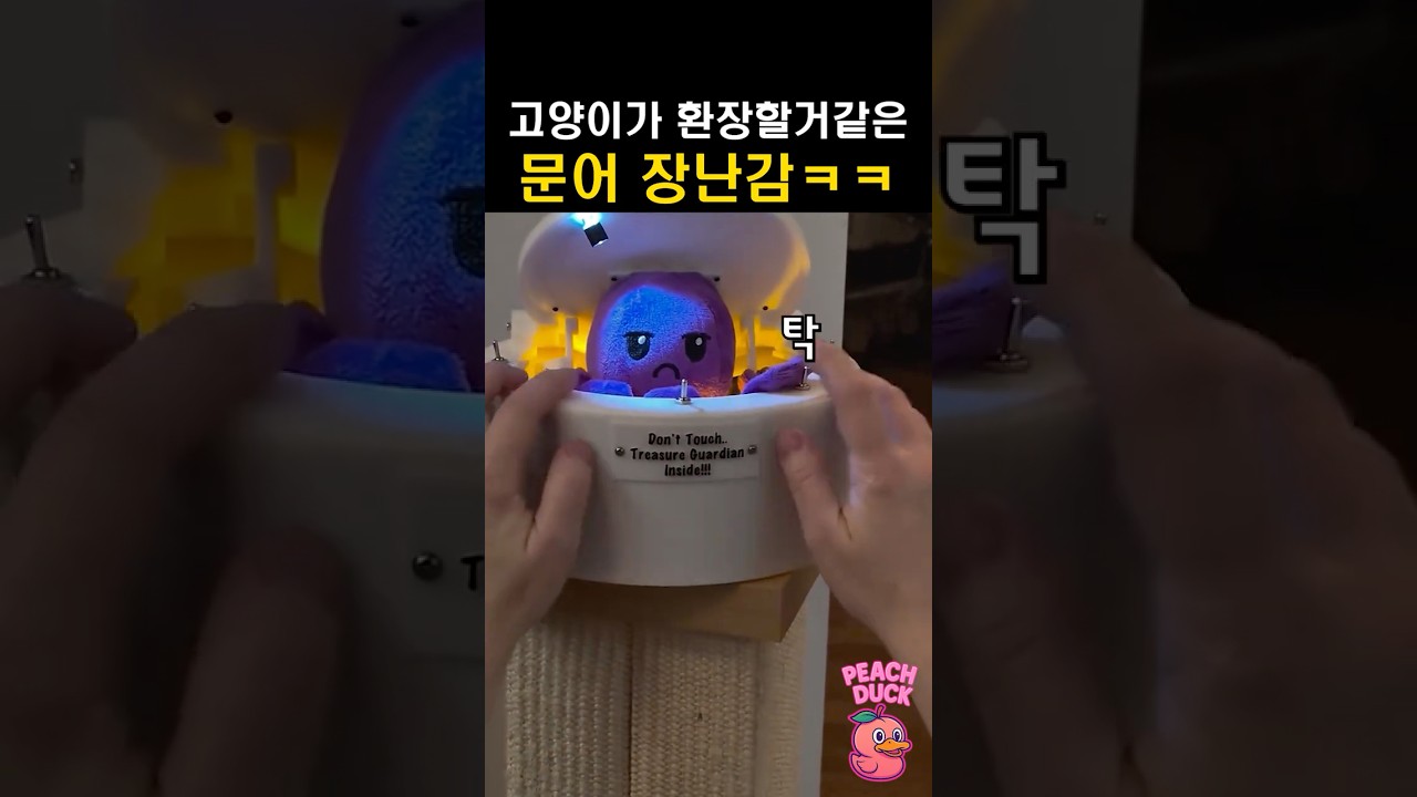 고양이가 환장할거같은 문어 장난감ㅋㅋ 썸네일
