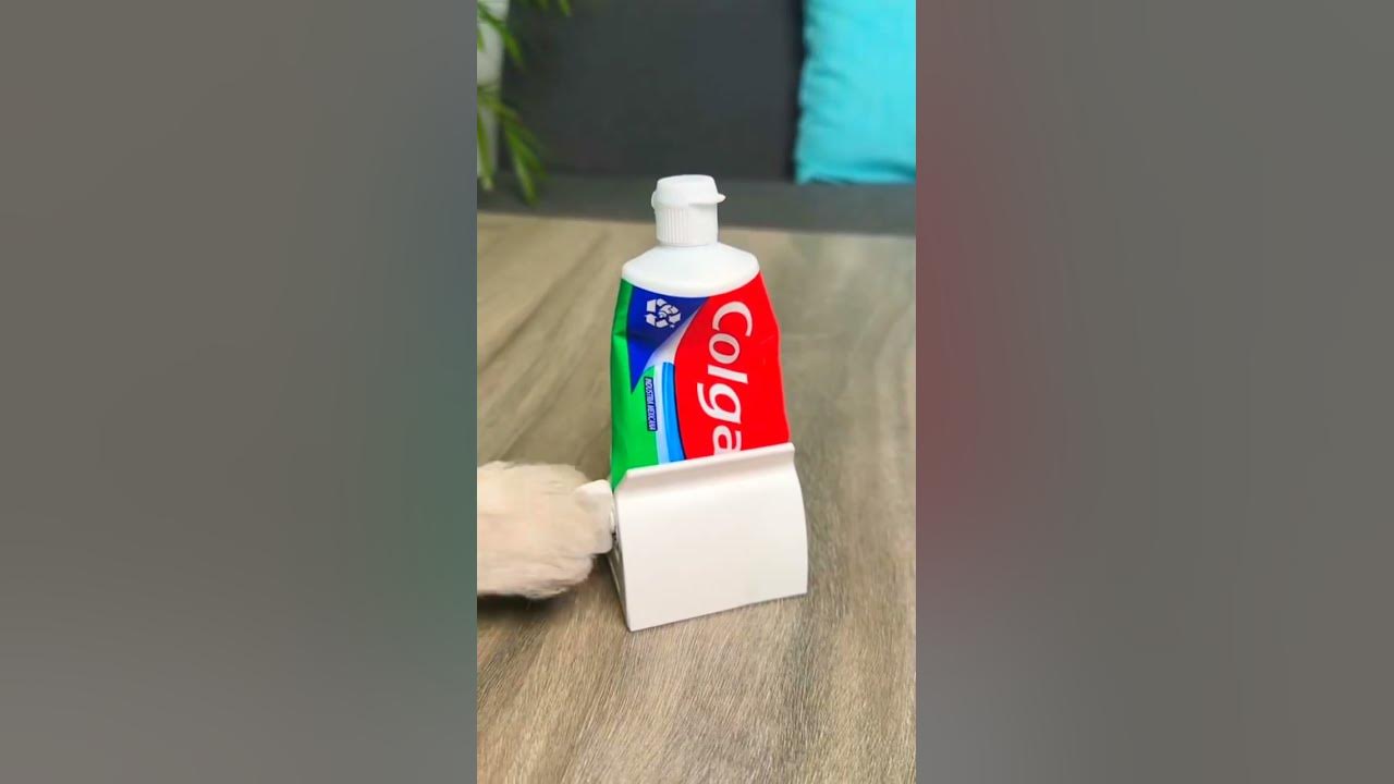 Toothpaste Tube Squeezer Working Or Not Testing A Toothpaste Tube toothpaste-tube-squeezer-working-or-not-testing-a-toothpaste-tube