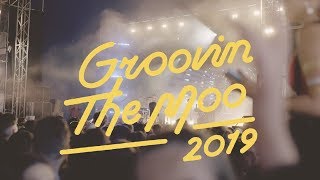 GTM 2019 Canberra | Groovin the Moo