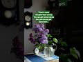 #shortvideo