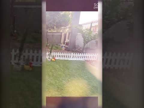 wooden garden fence