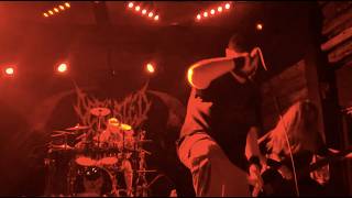 Defeated Sanity \