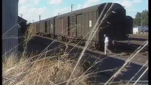 15 Insane Guinness World Records of ALL TIME