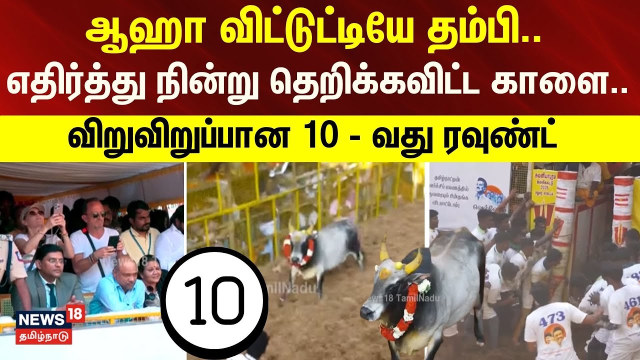Avaniyapuram Jallikattu 2026 - Round 10 | ஆஹா விட்டுட்டியே தம்பி- எதிர்த்து நின்று தெறிக்கவிட்ட காளை